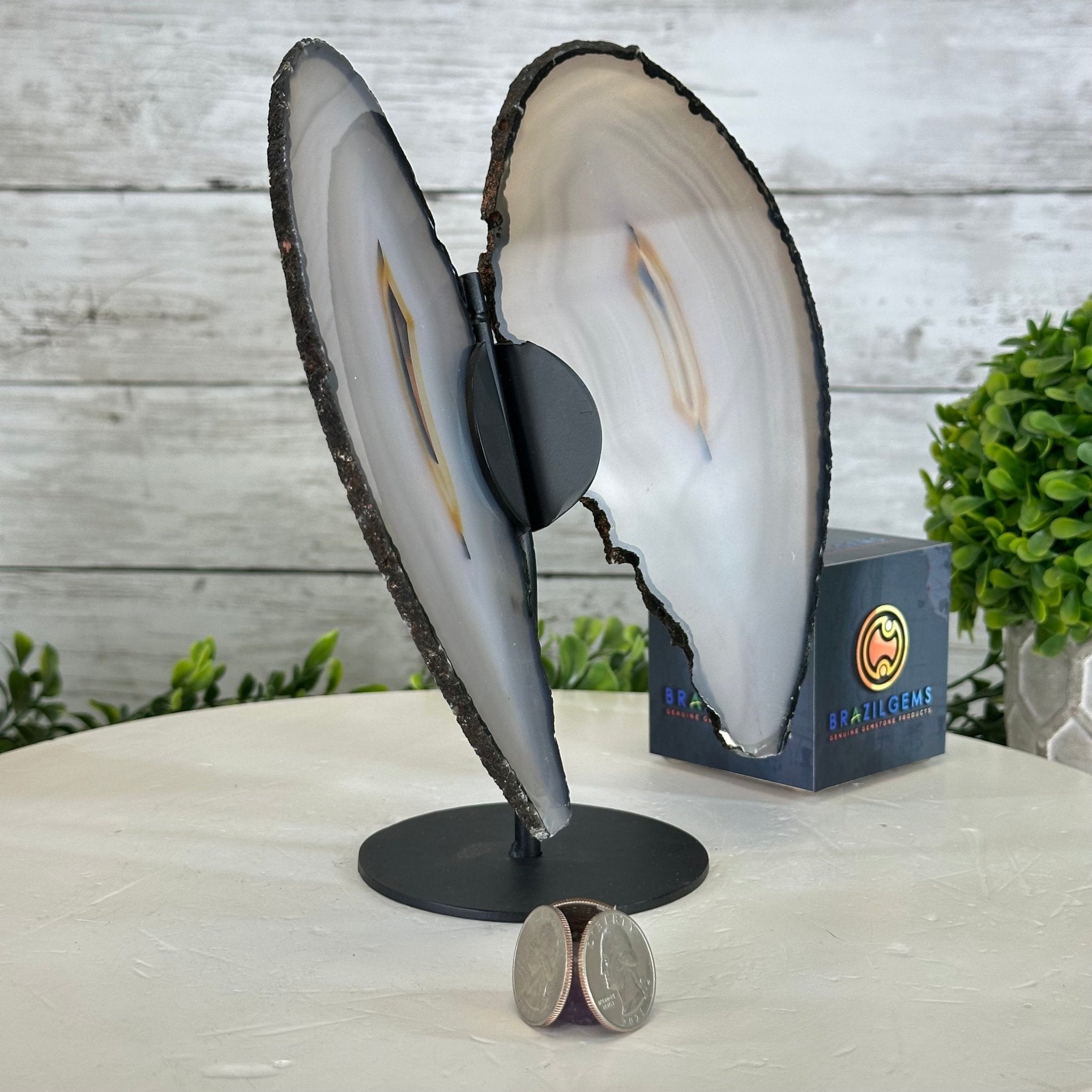 Natural Brazilian Agate "Butterfly Wings", 8.4" Tall #5050NA-143 - Brazil GemsBrazil GemsNatural Brazilian Agate "Butterfly Wings", 8.4" Tall #5050NA-143Agate Butterfly Wings5050NA-143