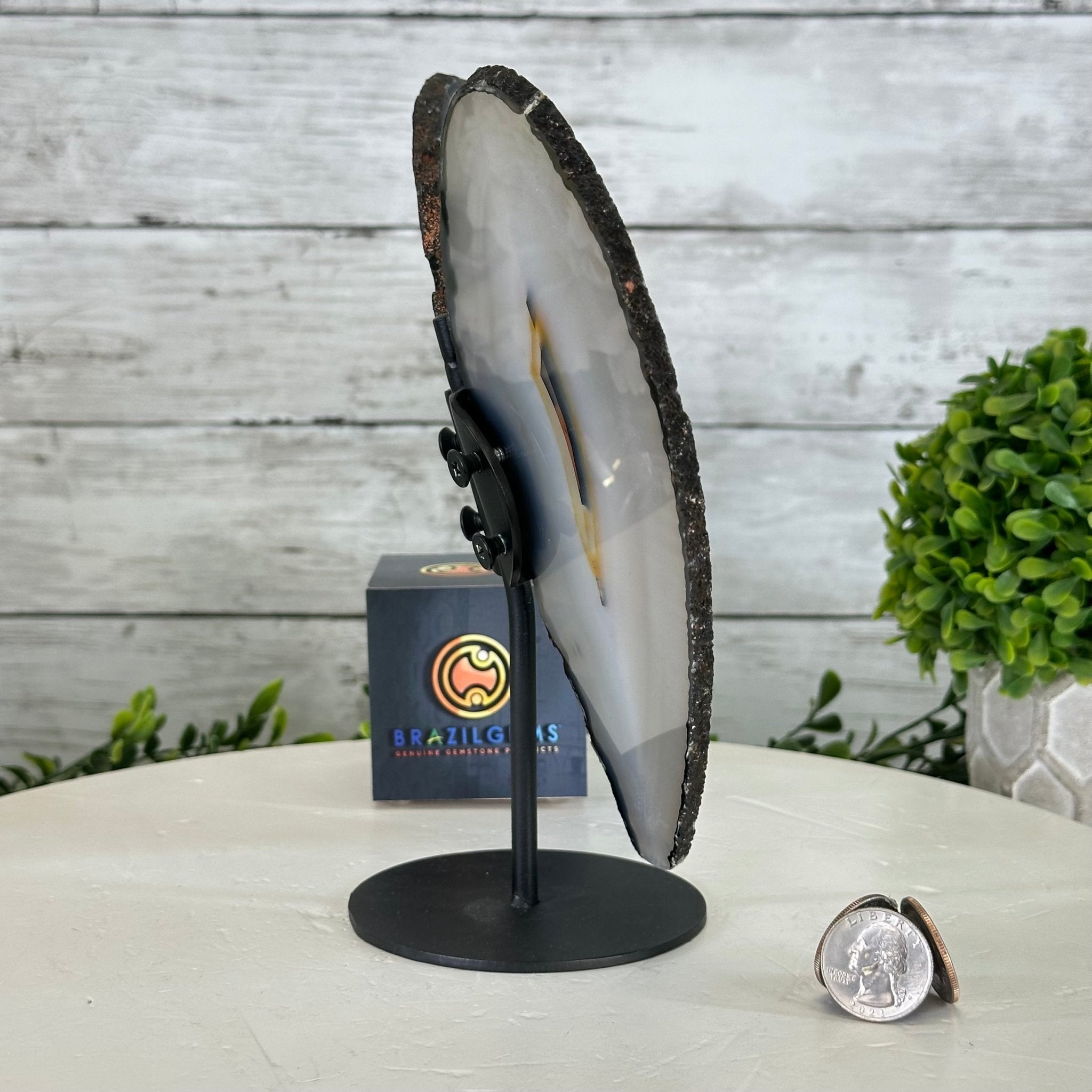 Natural Brazilian Agate "Butterfly Wings", 8.4" Tall #5050NA-143 - Brazil GemsBrazil GemsNatural Brazilian Agate "Butterfly Wings", 8.4" Tall #5050NA-143Agate Butterfly Wings5050NA-143