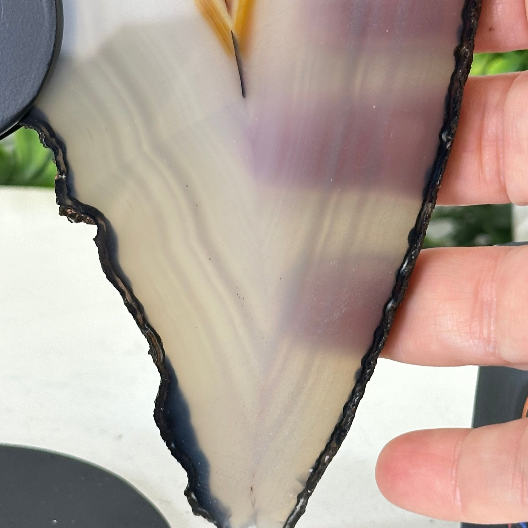 Natural Brazilian Agate "Butterfly Wings", 8.4" Tall #5050NA-143 - Brazil GemsBrazil GemsNatural Brazilian Agate "Butterfly Wings", 8.4" Tall #5050NA-143Agate Butterfly Wings5050NA-143