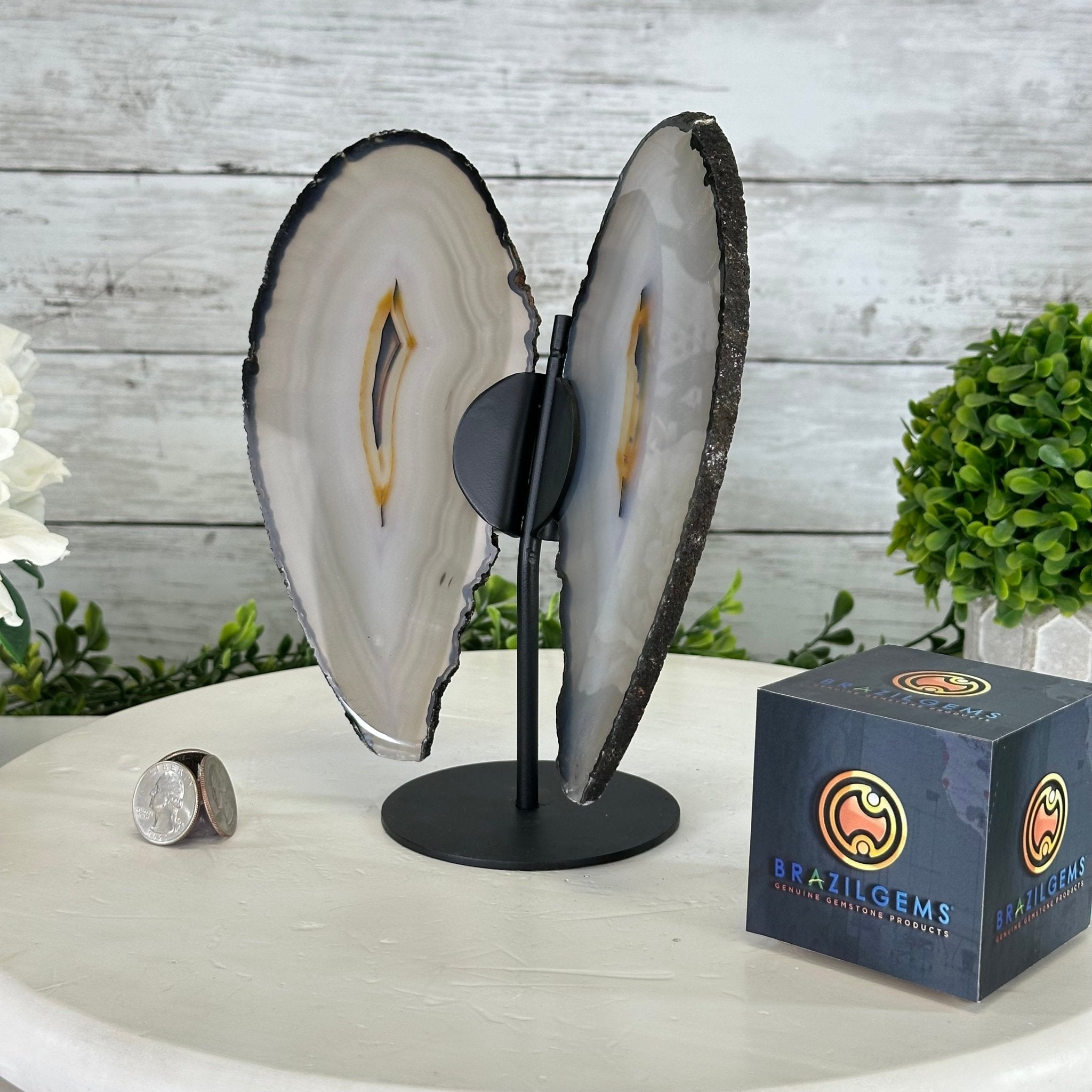 Natural Brazilian Agate "Butterfly Wings", 8.4" Tall #5050NA-143 - Brazil GemsBrazil GemsNatural Brazilian Agate "Butterfly Wings", 8.4" Tall #5050NA-143Agate Butterfly Wings5050NA-143
