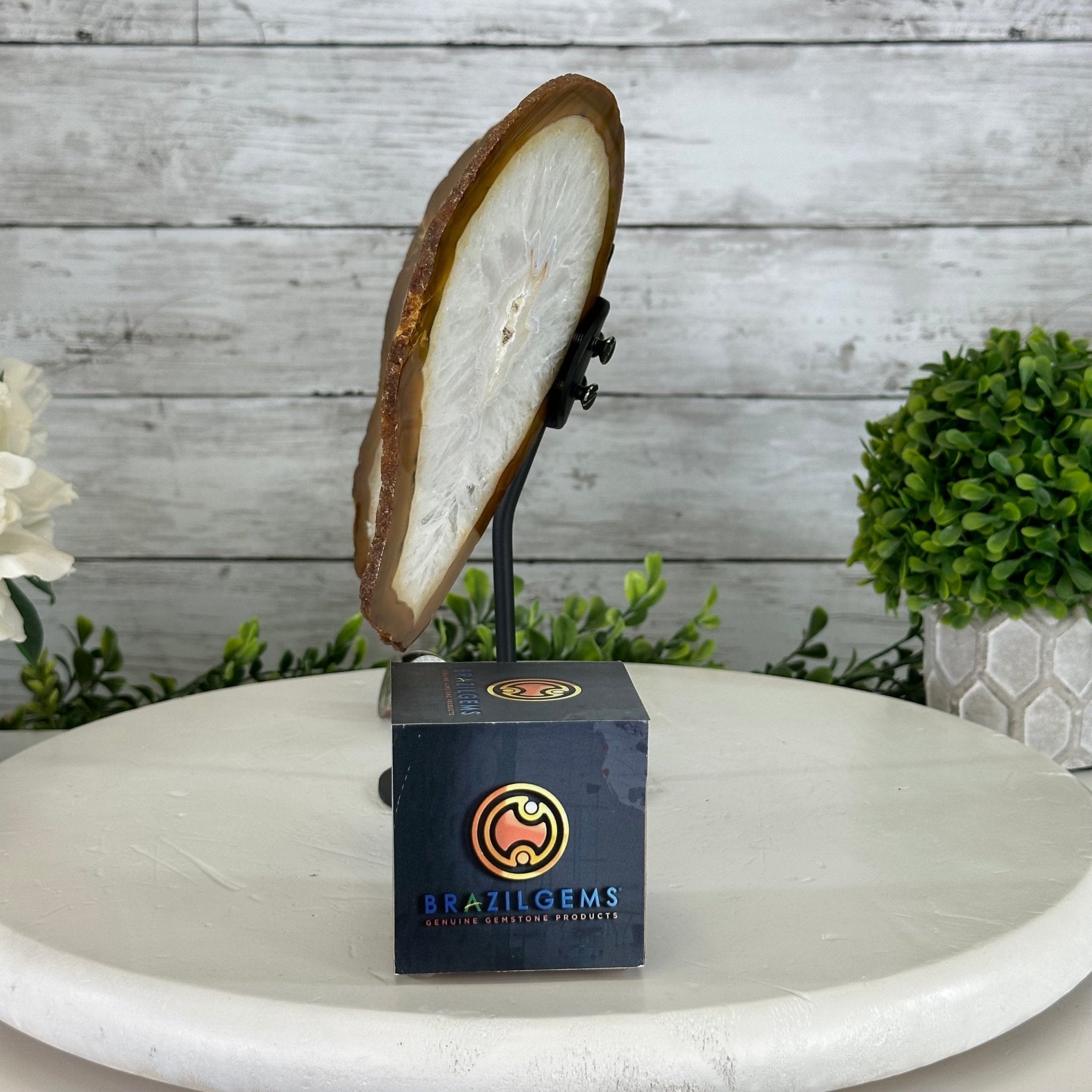 Natural Brazilian Agate "Butterfly Wings", 9.1" Tall #5050NA-110 - Brazil GemsBrazil GemsNatural Brazilian Agate "Butterfly Wings", 9.1" Tall #5050NA-110Agate Butterfly Wings5050NA-110