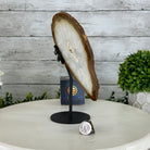 Natural Brazilian Agate "Butterfly Wings", 9.1" Tall #5050NA-110 - Brazil GemsBrazil GemsNatural Brazilian Agate "Butterfly Wings", 9.1" Tall #5050NA-110Agate Butterfly Wings5050NA-110