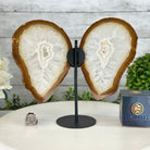 Natural Brazilian Agate "Butterfly Wings", 9.1" Tall #5050NA-110 - Brazil GemsBrazil GemsNatural Brazilian Agate "Butterfly Wings", 9.1" Tall #5050NA-110Agate Butterfly Wings5050NA-110