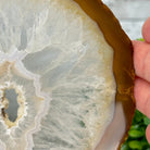 Natural Brazilian Agate "Butterfly Wings", 9.1" Tall #5050NA-110 - Brazil GemsBrazil GemsNatural Brazilian Agate "Butterfly Wings", 9.1" Tall #5050NA-110Agate Butterfly Wings5050NA-110