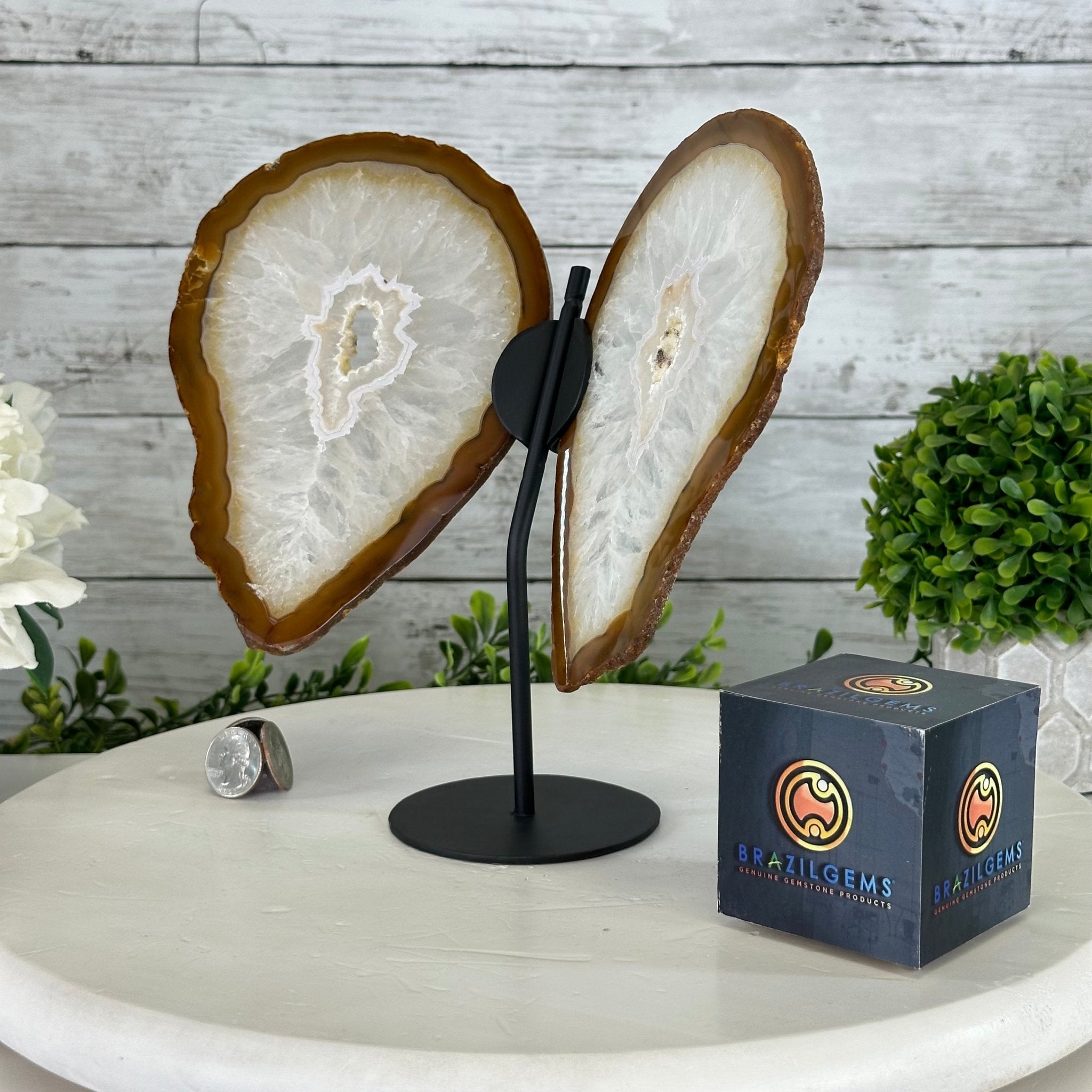 Natural Brazilian Agate "Butterfly Wings", 9.1" Tall #5050NA-110 - Brazil GemsBrazil GemsNatural Brazilian Agate "Butterfly Wings", 9.1" Tall #5050NA-110Agate Butterfly Wings5050NA-110
