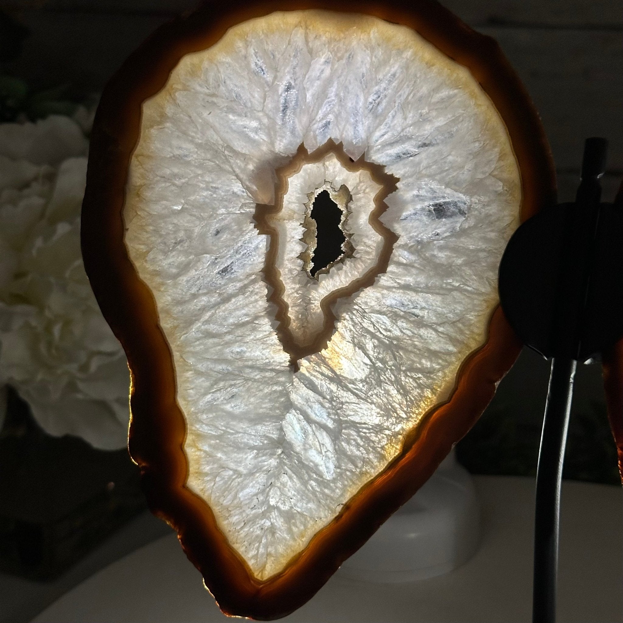 Natural Brazilian Agate "Butterfly Wings", 9.1" Tall #5050NA-110 - Brazil GemsBrazil GemsNatural Brazilian Agate "Butterfly Wings", 9.1" Tall #5050NA-110Agate Butterfly Wings5050NA-110