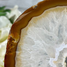 Natural Brazilian Agate "Butterfly Wings", 9.1" Tall #5050NA-110 - Brazil GemsBrazil GemsNatural Brazilian Agate "Butterfly Wings", 9.1" Tall #5050NA-110Agate Butterfly Wings5050NA-110