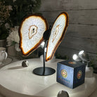 Natural Brazilian Agate "Butterfly Wings", 9.1" Tall #5050NA-110 - Brazil GemsBrazil GemsNatural Brazilian Agate "Butterfly Wings", 9.1" Tall #5050NA-110Agate Butterfly Wings5050NA-110