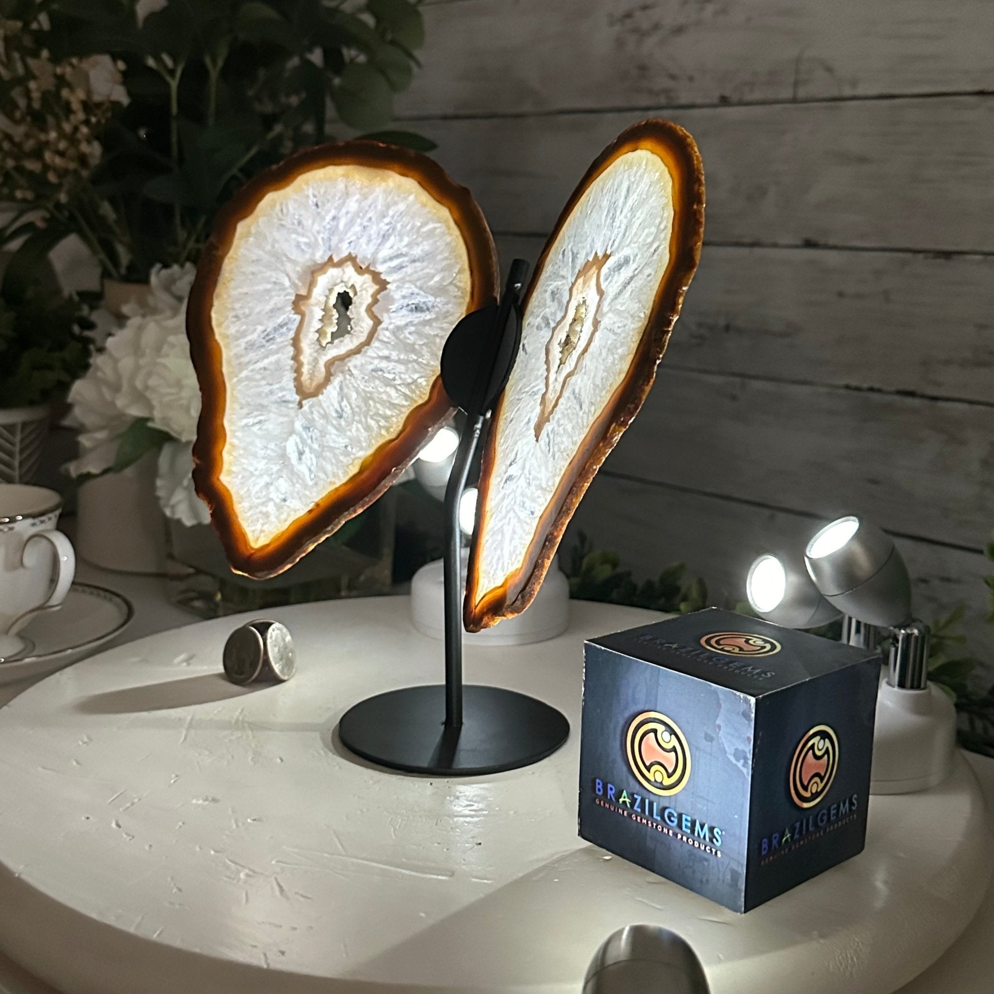Natural Brazilian Agate "Butterfly Wings", 9.1" Tall #5050NA-110 - Brazil GemsBrazil GemsNatural Brazilian Agate "Butterfly Wings", 9.1" Tall #5050NA-110Agate Butterfly Wings5050NA-110