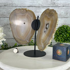 Natural Brazilian Agate "Butterfly Wings", 9.1" Tall #5050NA-133 - Brazil GemsBrazil GemsNatural Brazilian Agate "Butterfly Wings", 9.1" Tall #5050NA-133Agate Butterfly Wings5050NA-133