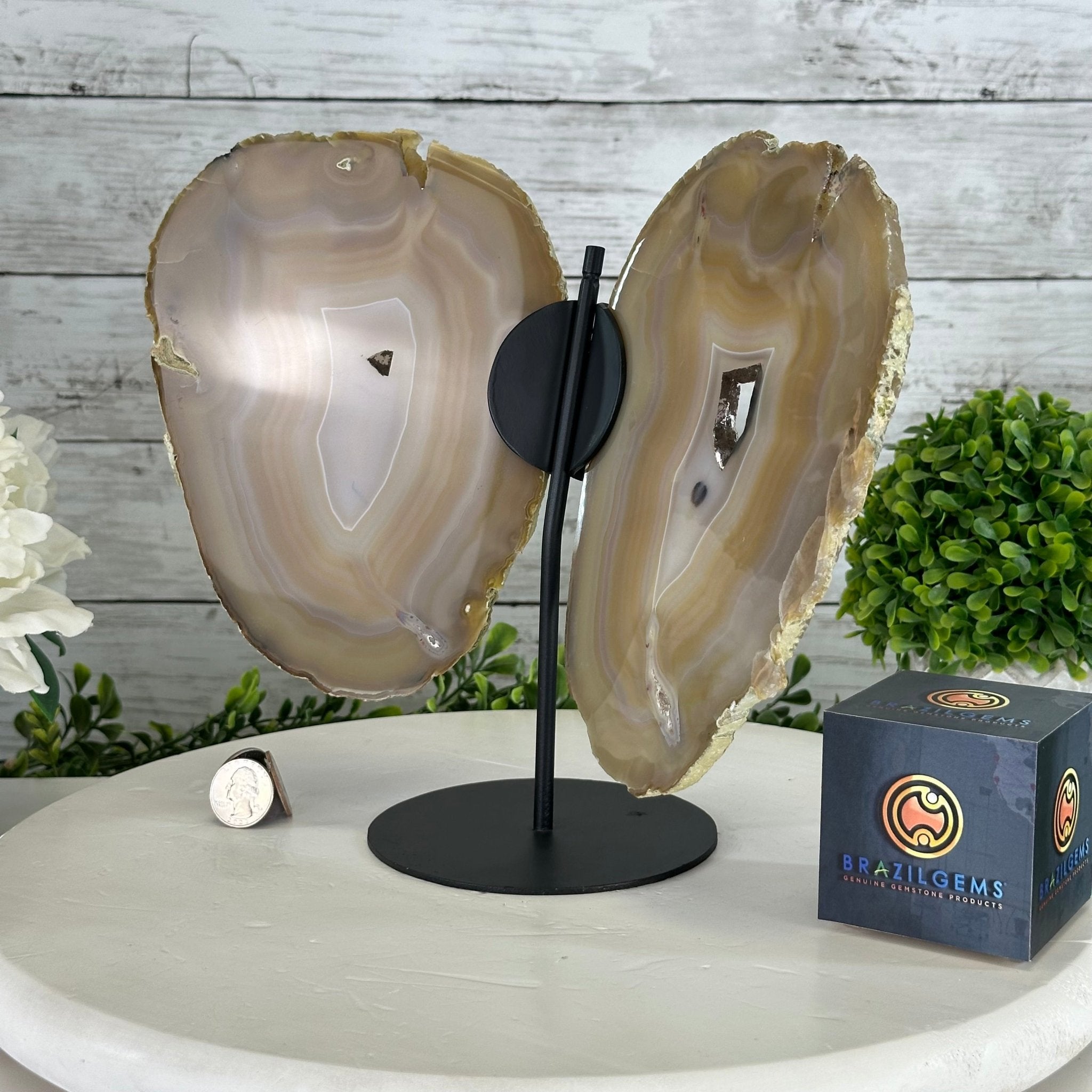 Natural Brazilian Agate "Butterfly Wings", 9.1" Tall #5050NA-133 - Brazil GemsBrazil GemsNatural Brazilian Agate "Butterfly Wings", 9.1" Tall #5050NA-133Agate Butterfly Wings5050NA-133