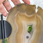 Natural Brazilian Agate "Butterfly Wings", 9.1" Tall #5050NA-133 - Brazil GemsBrazil GemsNatural Brazilian Agate "Butterfly Wings", 9.1" Tall #5050NA-133Agate Butterfly Wings5050NA-133