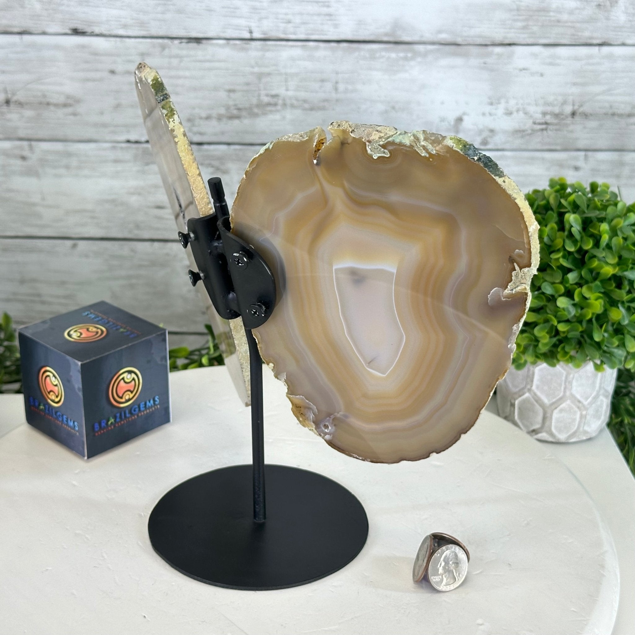 Natural Brazilian Agate "Butterfly Wings", 9.1" Tall #5050NA-133 - Brazil GemsBrazil GemsNatural Brazilian Agate "Butterfly Wings", 9.1" Tall #5050NA-133Agate Butterfly Wings5050NA-133