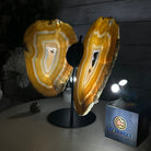 Natural Brazilian Agate "Butterfly Wings", 9.1" Tall #5050NA-133 - Brazil GemsBrazil GemsNatural Brazilian Agate "Butterfly Wings", 9.1" Tall #5050NA-133Agate Butterfly Wings5050NA-133