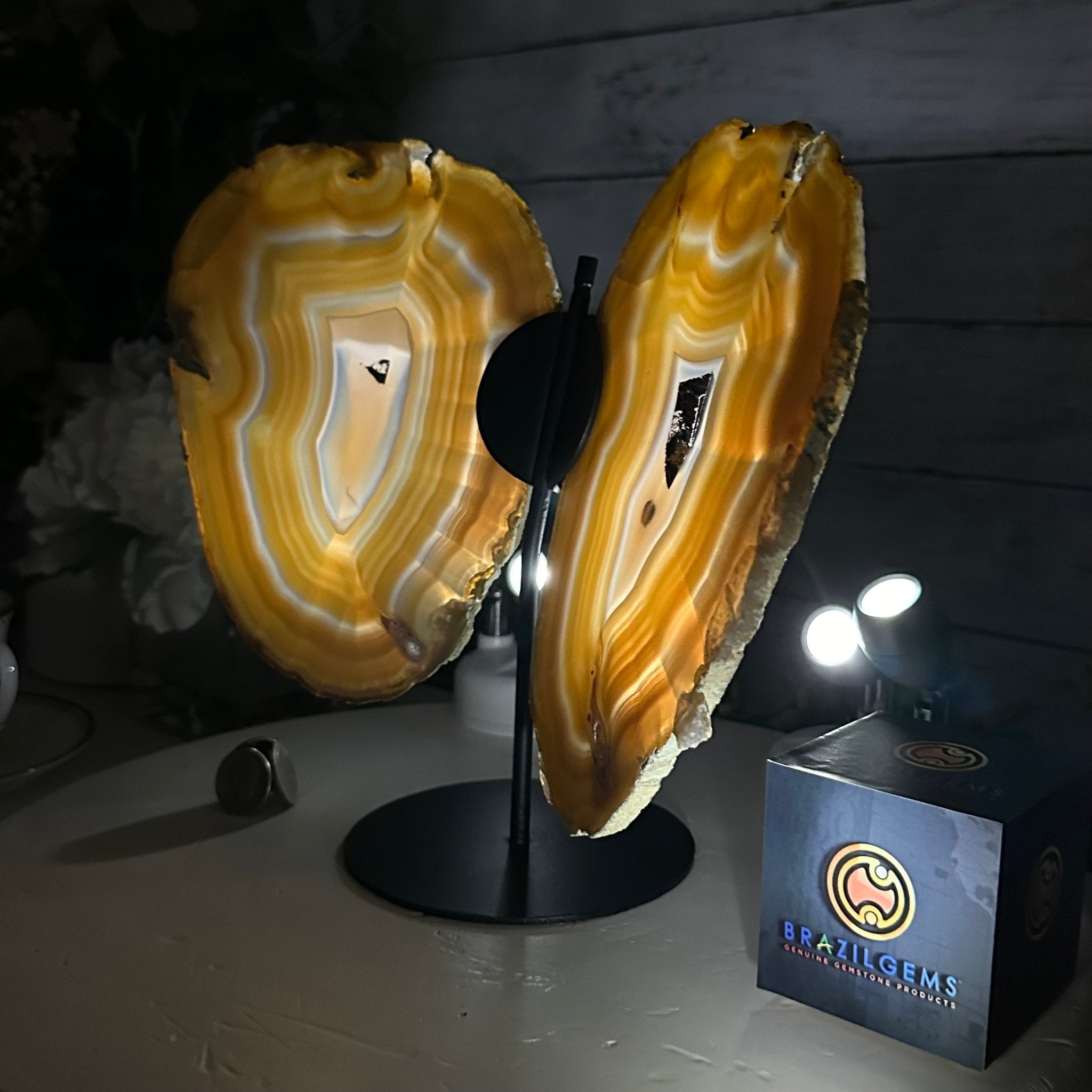 Natural Brazilian Agate "Butterfly Wings", 9.1" Tall #5050NA-133 - Brazil GemsBrazil GemsNatural Brazilian Agate "Butterfly Wings", 9.1" Tall #5050NA-133Agate Butterfly Wings5050NA-133