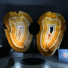 Natural Brazilian Agate "Butterfly Wings", 9.1" Tall #5050NA-133 - Brazil GemsBrazil GemsNatural Brazilian Agate "Butterfly Wings", 9.1" Tall #5050NA-133Agate Butterfly Wings5050NA-133