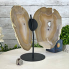 Natural Brazilian Agate "Butterfly Wings", 9.1" Tall #5050NA-133 - Brazil GemsBrazil GemsNatural Brazilian Agate "Butterfly Wings", 9.1" Tall #5050NA-133Agate Butterfly Wings5050NA-133