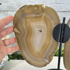 Natural Brazilian Agate "Butterfly Wings", 9.1" Tall #5050NA-133 - Brazil GemsBrazil GemsNatural Brazilian Agate "Butterfly Wings", 9.1" Tall #5050NA-133Agate Butterfly Wings5050NA-133