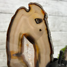 Natural Brazilian Agate "Butterfly Wings", 9.2" Tall #5050NA-151 - Brazil GemsBrazil GemsNatural Brazilian Agate "Butterfly Wings", 9.2" Tall #5050NA-151Agate Butterfly Wings5050NA-151