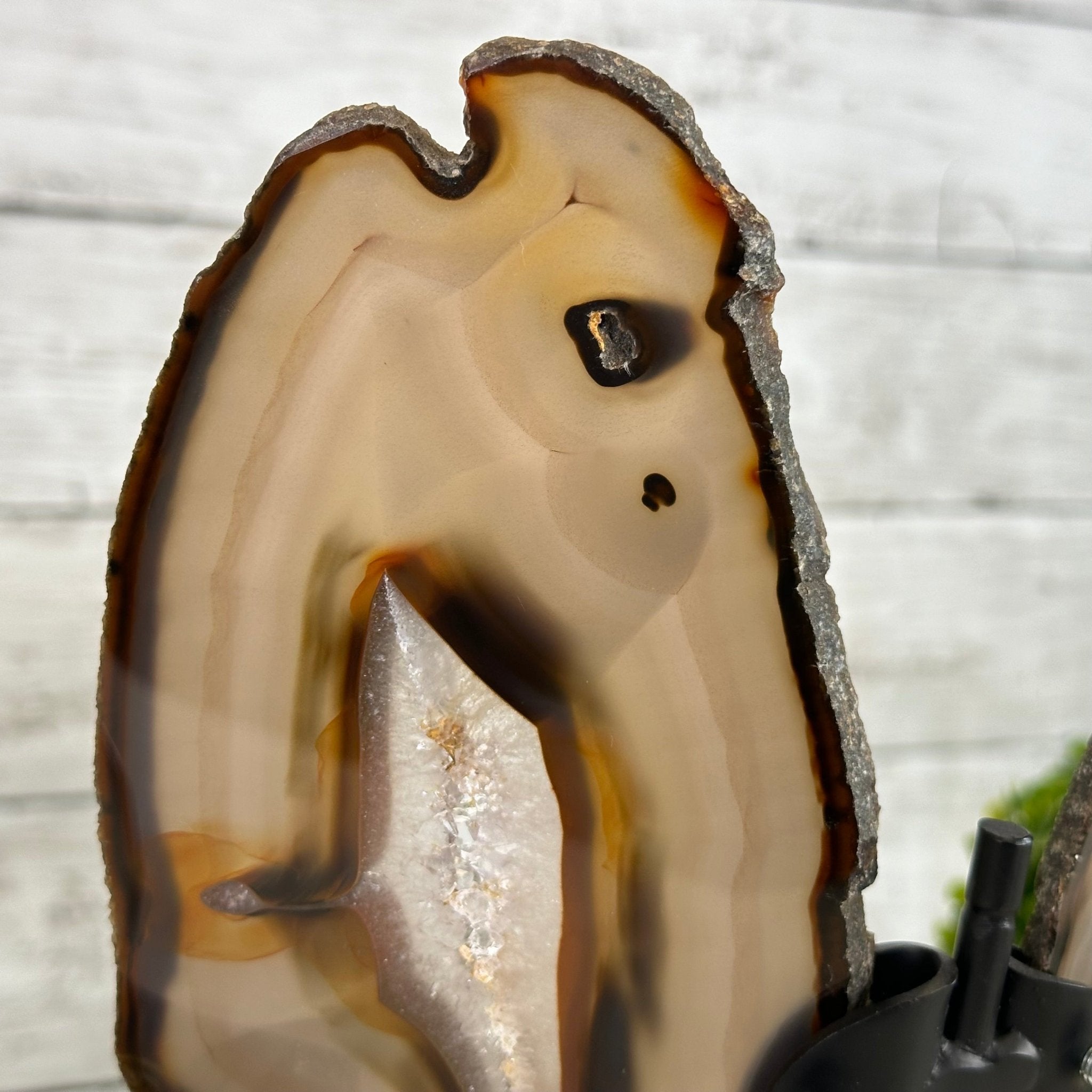 Natural Brazilian Agate "Butterfly Wings", 9.2" Tall #5050NA-151 - Brazil GemsBrazil GemsNatural Brazilian Agate "Butterfly Wings", 9.2" Tall #5050NA-151Agate Butterfly Wings5050NA-151