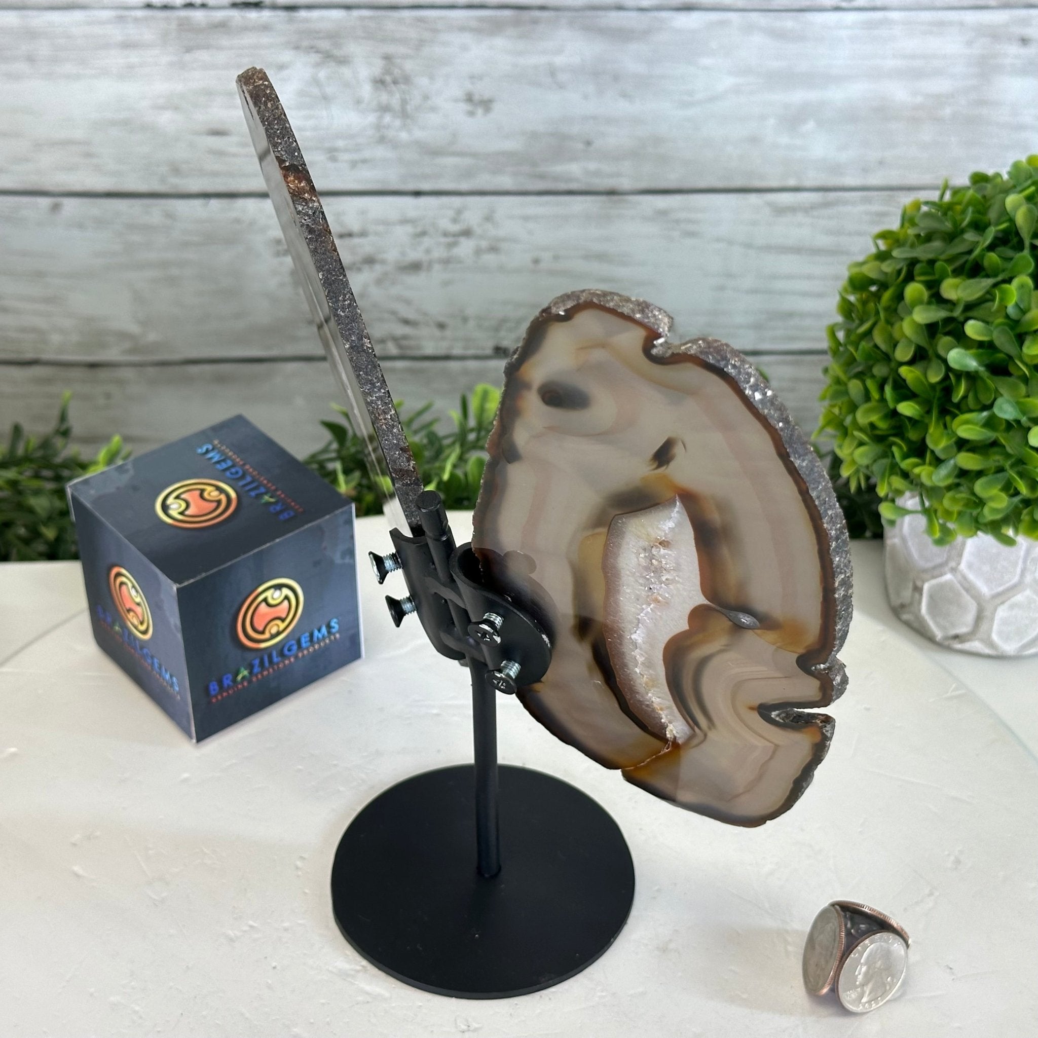 Natural Brazilian Agate "Butterfly Wings", 9.2" Tall #5050NA-151 - Brazil GemsBrazil GemsNatural Brazilian Agate "Butterfly Wings", 9.2" Tall #5050NA-151Agate Butterfly Wings5050NA-151