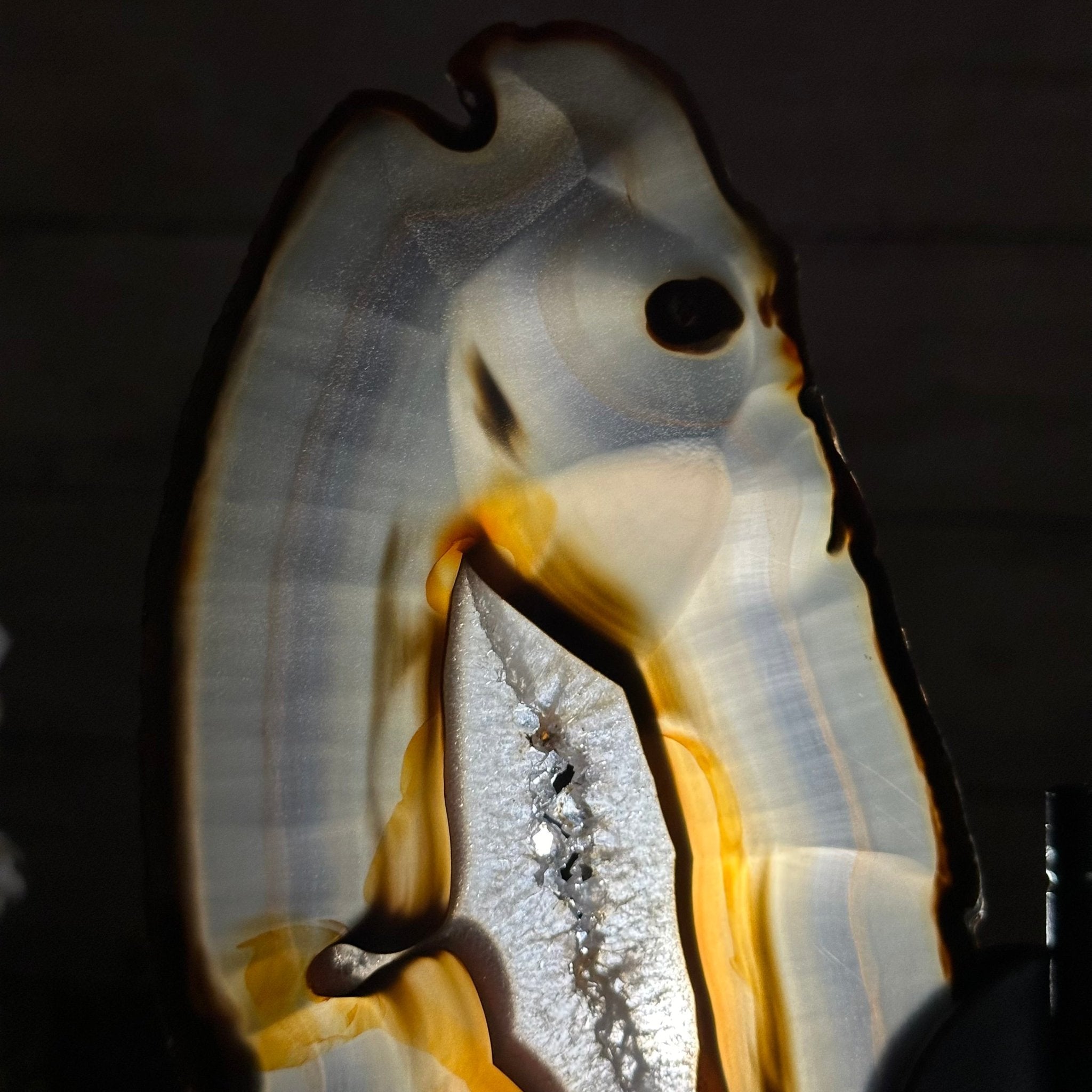 Natural Brazilian Agate "Butterfly Wings", 9.2" Tall #5050NA-151 - Brazil GemsBrazil GemsNatural Brazilian Agate "Butterfly Wings", 9.2" Tall #5050NA-151Agate Butterfly Wings5050NA-151