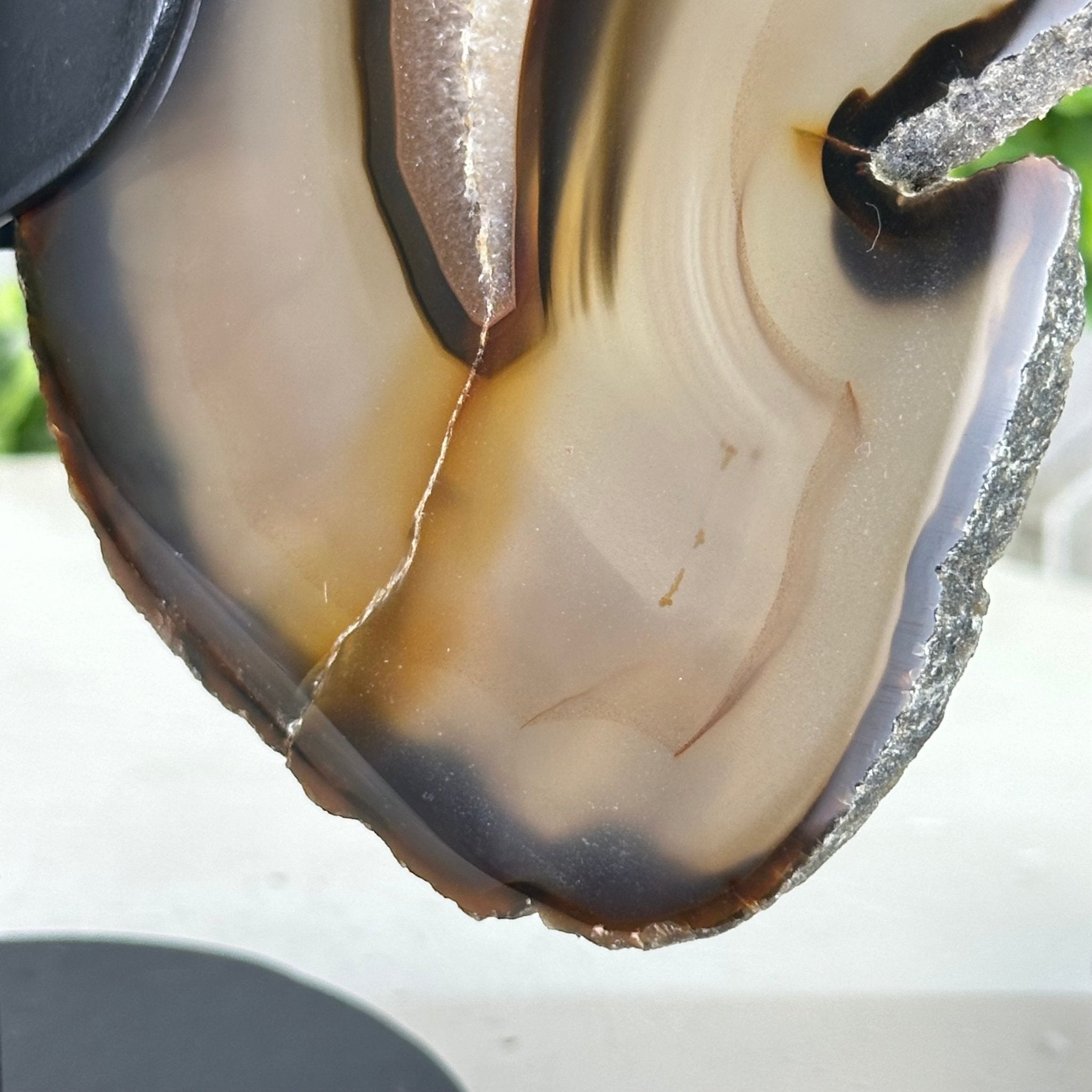 Natural Brazilian Agate "Butterfly Wings", 9.2" Tall #5050NA-151 - Brazil GemsBrazil GemsNatural Brazilian Agate "Butterfly Wings", 9.2" Tall #5050NA-151Agate Butterfly Wings5050NA-151