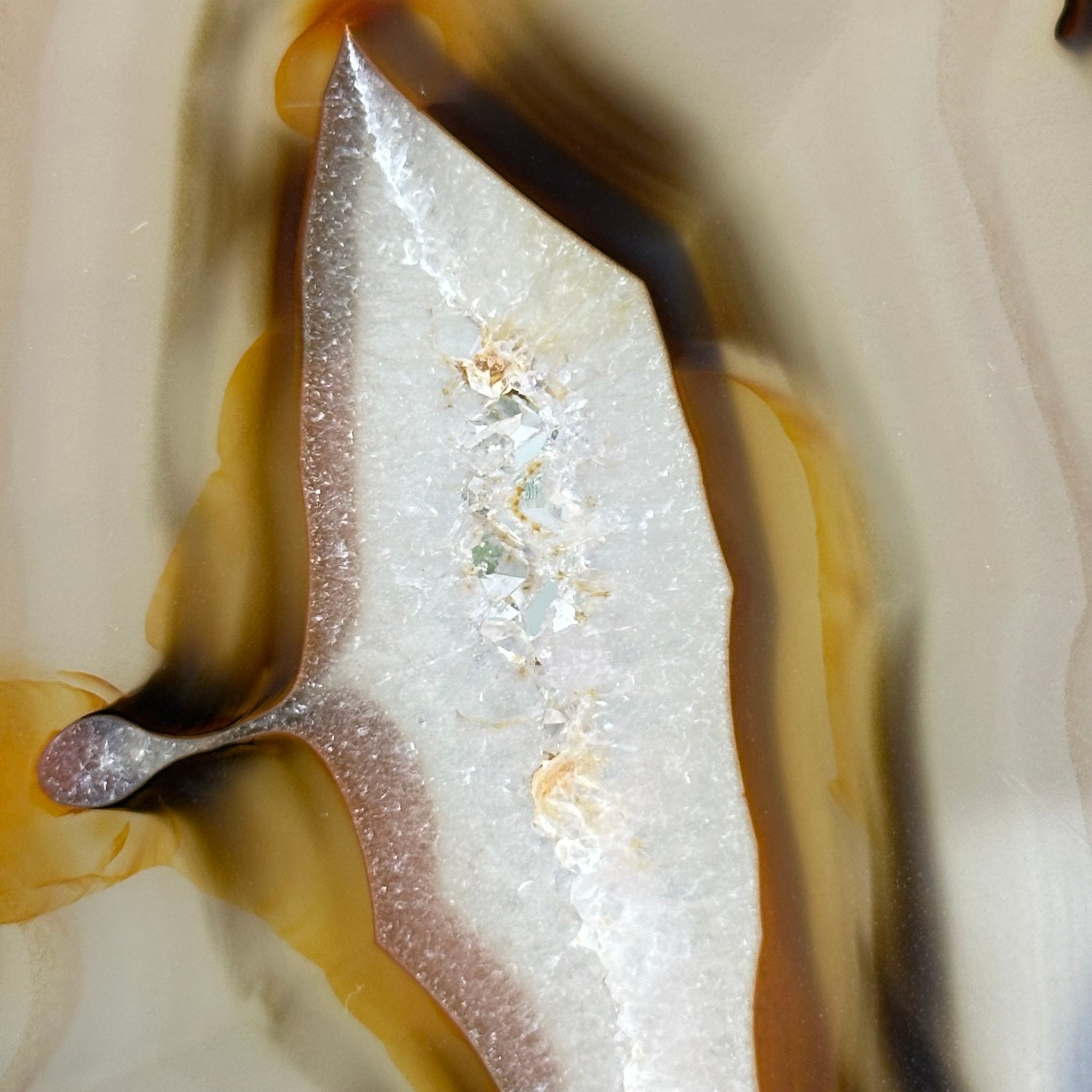 Natural Brazilian Agate "Butterfly Wings", 9.2" Tall #5050NA-151 - Brazil GemsBrazil GemsNatural Brazilian Agate "Butterfly Wings", 9.2" Tall #5050NA-151Agate Butterfly Wings5050NA-151