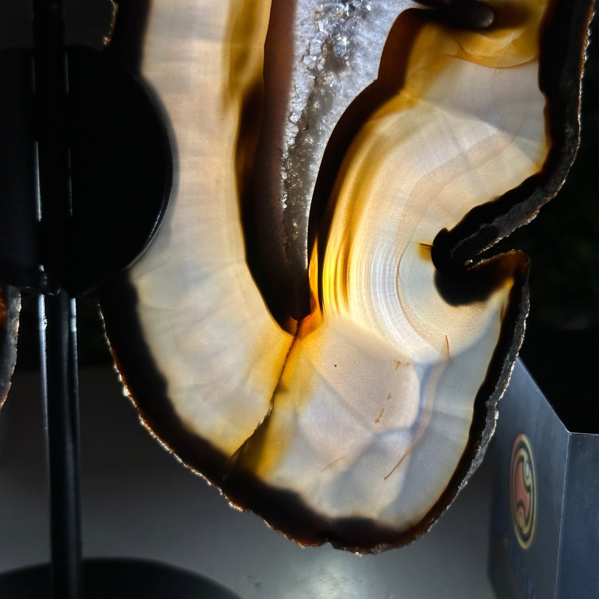 Natural Brazilian Agate "Butterfly Wings", 9.2" Tall #5050NA-151 - Brazil GemsBrazil GemsNatural Brazilian Agate "Butterfly Wings", 9.2" Tall #5050NA-151Agate Butterfly Wings5050NA-151