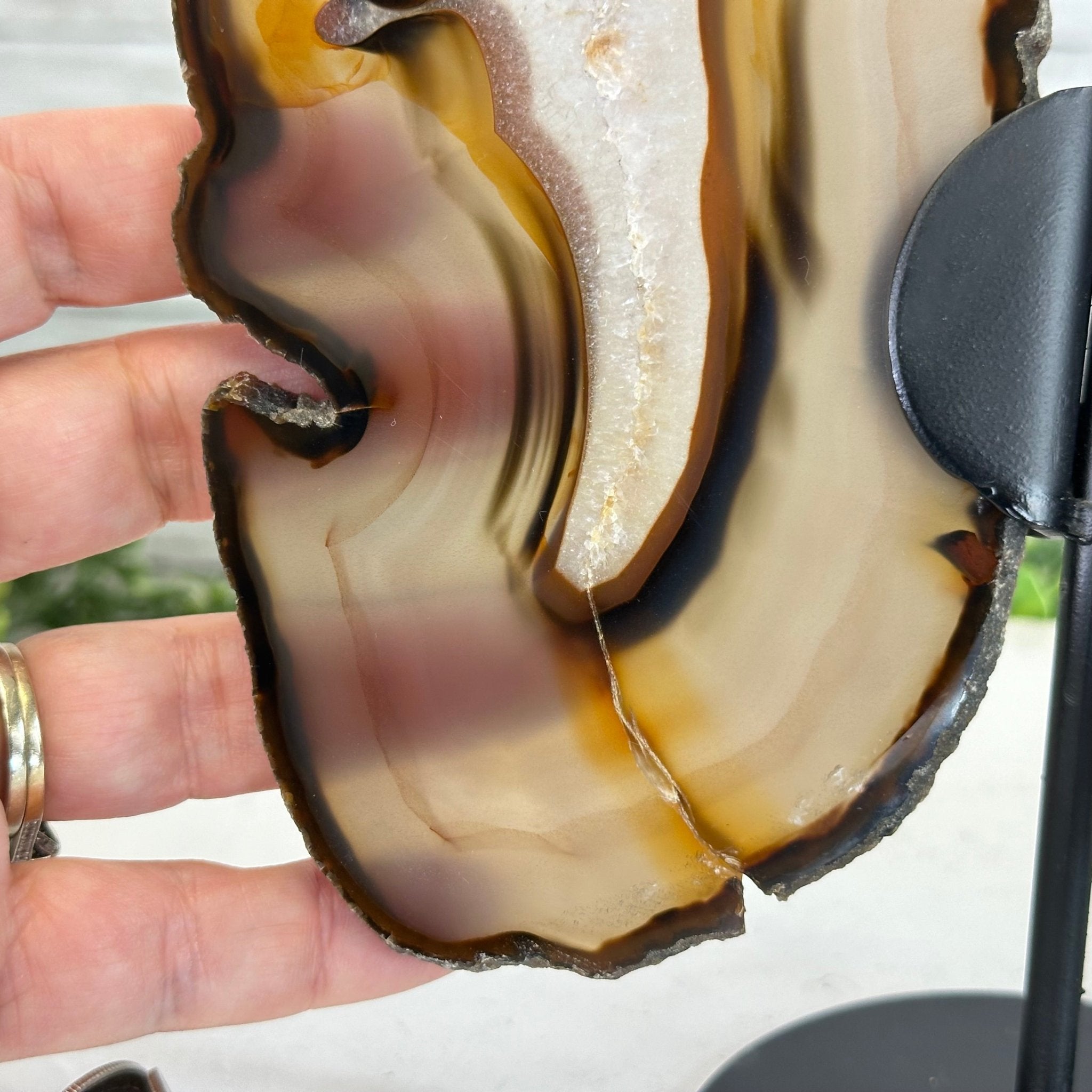 Natural Brazilian Agate "Butterfly Wings", 9.2" Tall #5050NA-151 - Brazil GemsBrazil GemsNatural Brazilian Agate "Butterfly Wings", 9.2" Tall #5050NA-151Agate Butterfly Wings5050NA-151