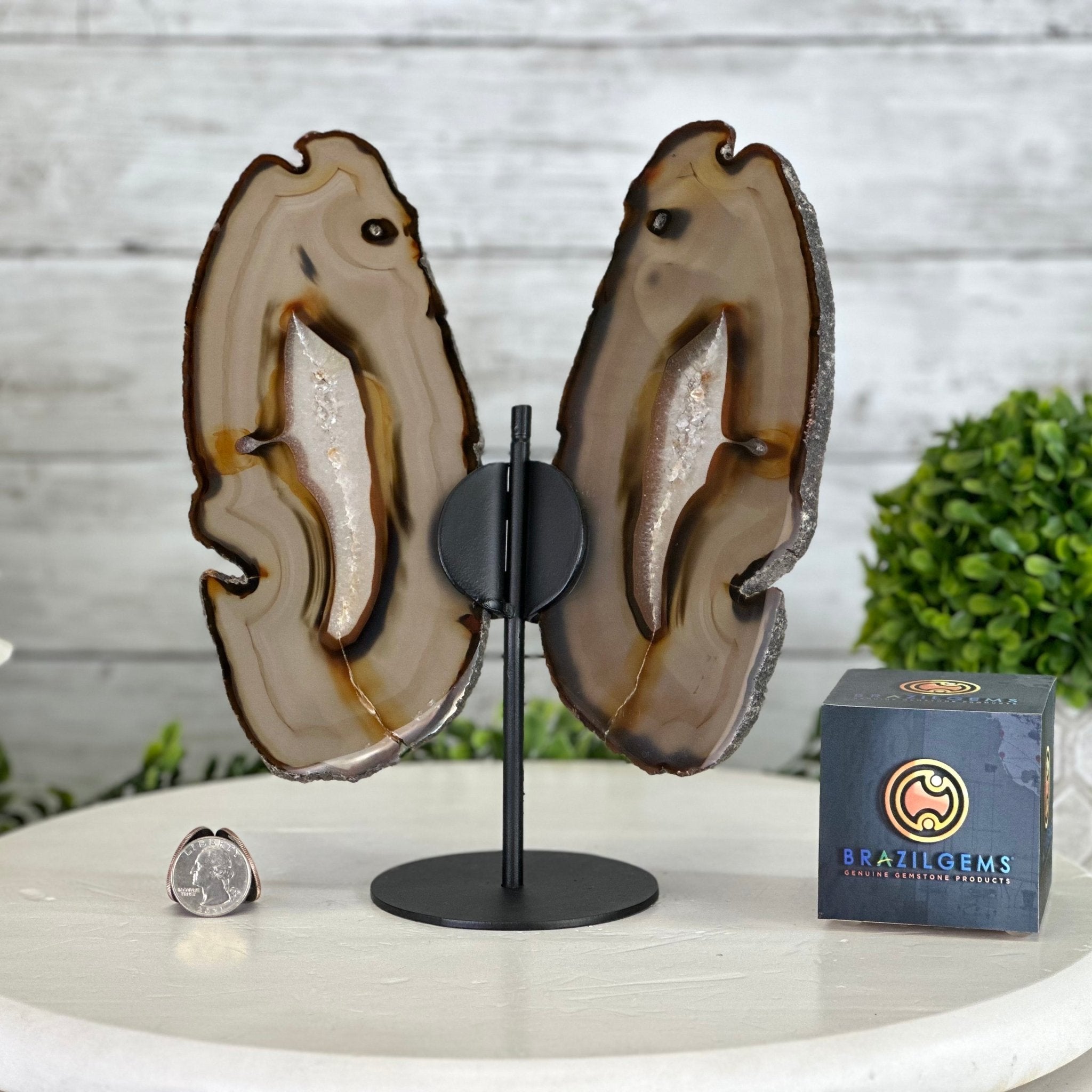 Natural Brazilian Agate "Butterfly Wings", 9.2" Tall #5050NA-151 - Brazil GemsBrazil GemsNatural Brazilian Agate "Butterfly Wings", 9.2" Tall #5050NA-151Agate Butterfly Wings5050NA-151