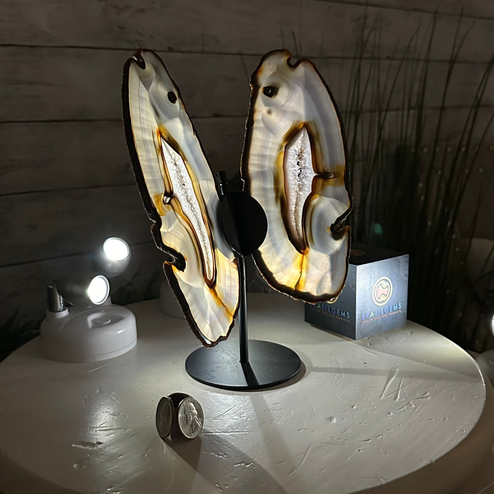 Natural Brazilian Agate "Butterfly Wings", 9.2" Tall #5050NA-151 - Brazil GemsBrazil GemsNatural Brazilian Agate "Butterfly Wings", 9.2" Tall #5050NA-151Agate Butterfly Wings5050NA-151