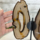Natural Brazilian Agate "Butterfly Wings", 9.2" Tall #5050NA-151 - Brazil GemsBrazil GemsNatural Brazilian Agate "Butterfly Wings", 9.2" Tall #5050NA-151Agate Butterfly Wings5050NA-151