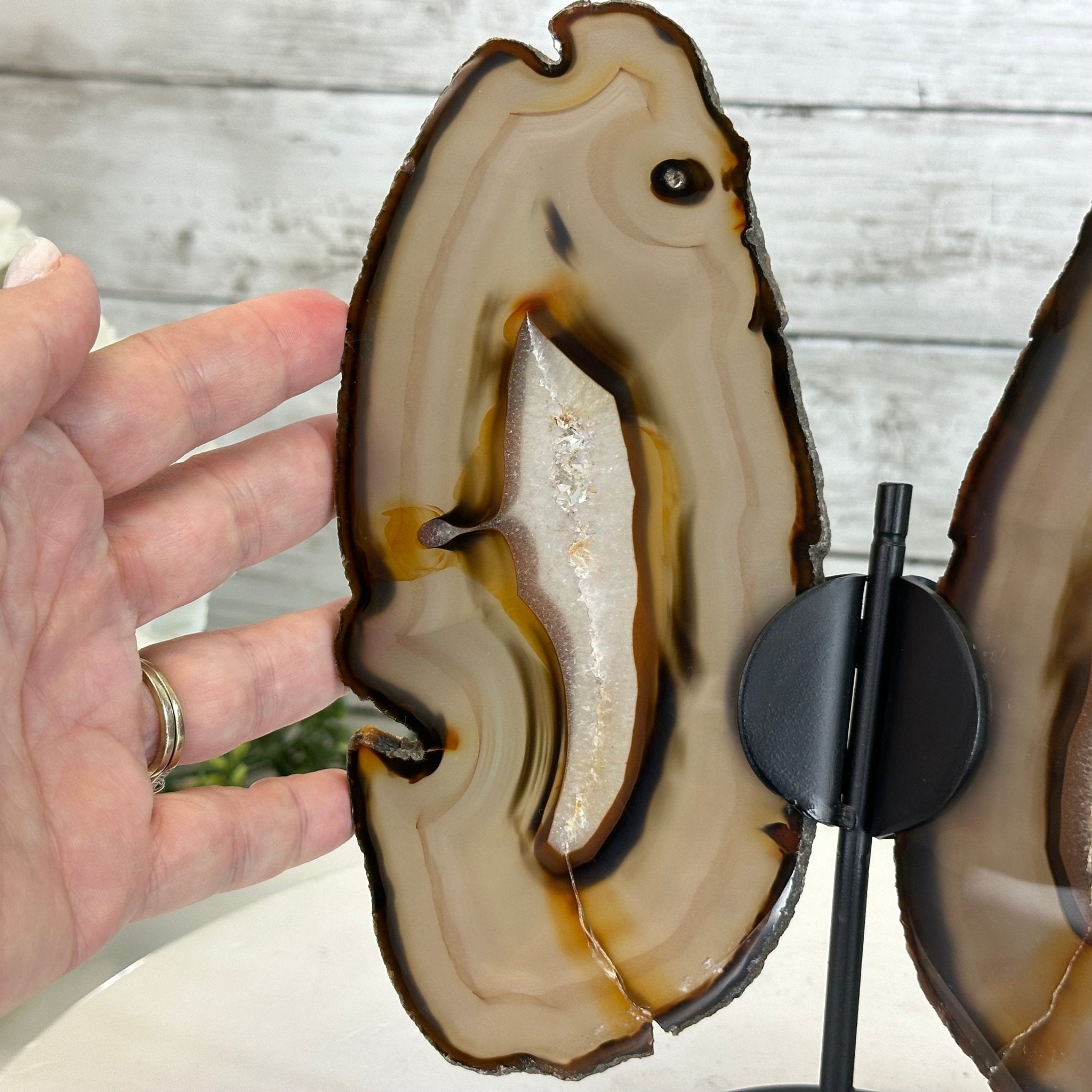 Natural Brazilian Agate "Butterfly Wings", 9.2" Tall #5050NA-151 - Brazil GemsBrazil GemsNatural Brazilian Agate "Butterfly Wings", 9.2" Tall #5050NA-151Agate Butterfly Wings5050NA-151