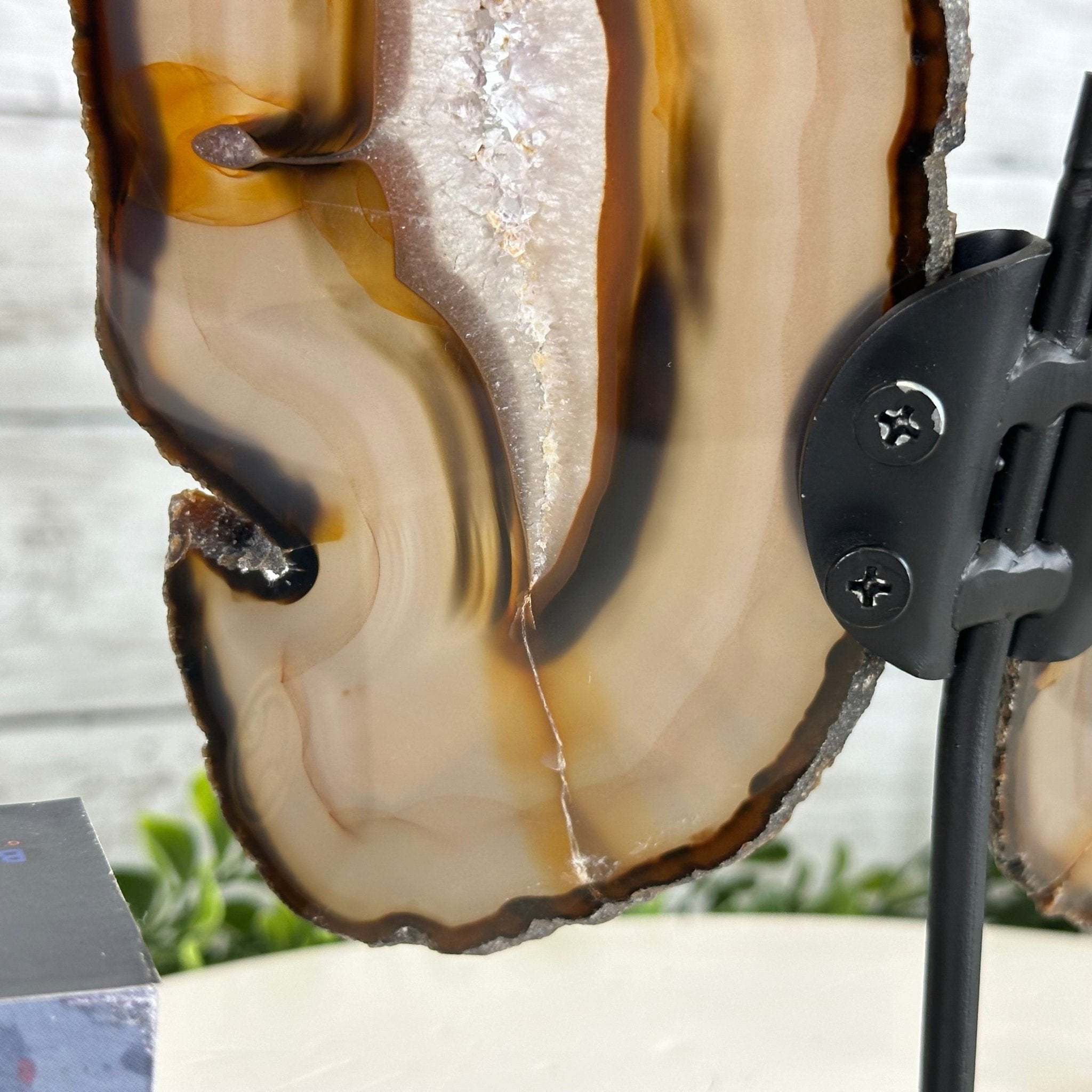 Natural Brazilian Agate "Butterfly Wings", 9.2" Tall #5050NA-151 - Brazil GemsBrazil GemsNatural Brazilian Agate "Butterfly Wings", 9.2" Tall #5050NA-151Agate Butterfly Wings5050NA-151