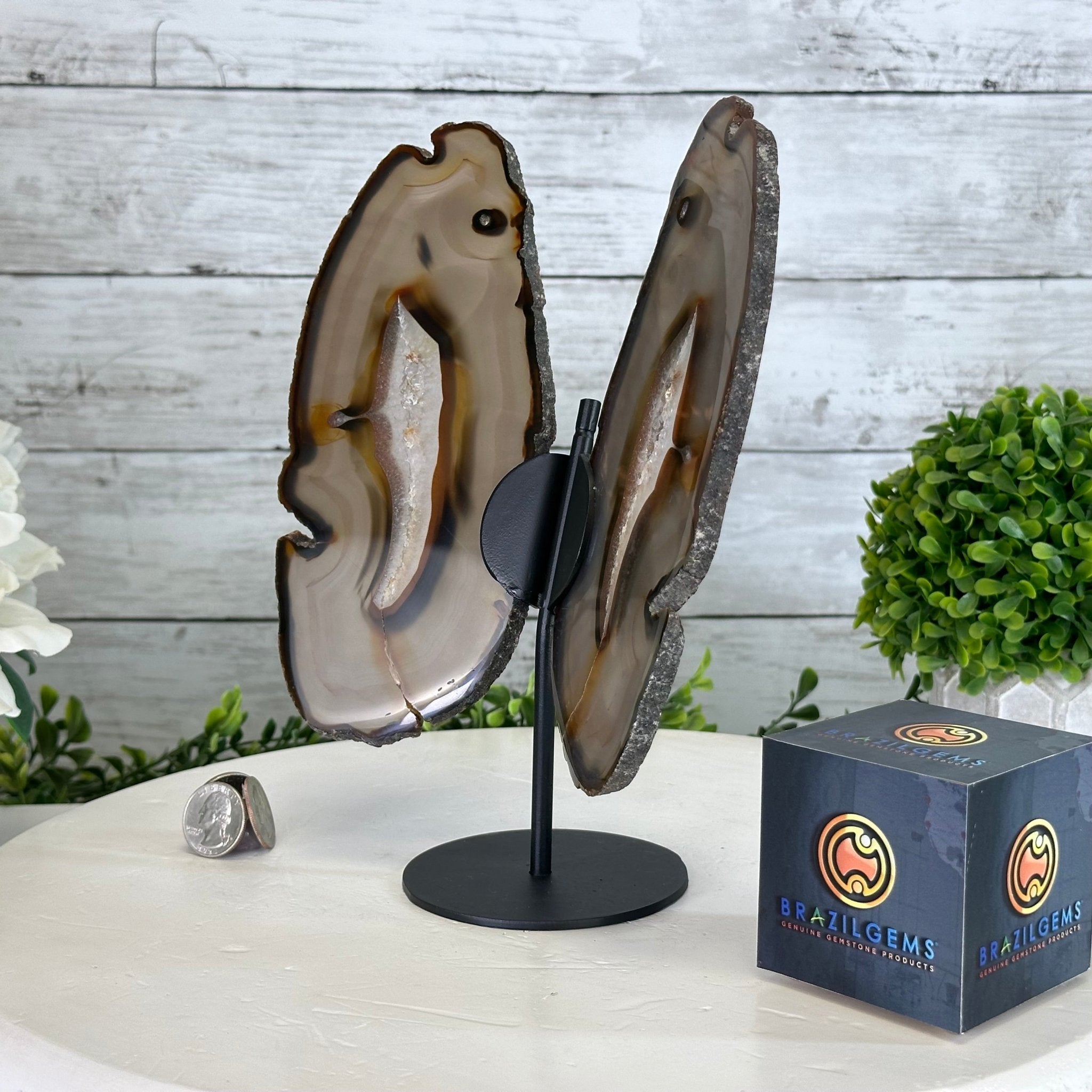 Natural Brazilian Agate "Butterfly Wings", 9.2" Tall #5050NA-151 - Brazil GemsBrazil GemsNatural Brazilian Agate "Butterfly Wings", 9.2" Tall #5050NA-151Agate Butterfly Wings5050NA-151