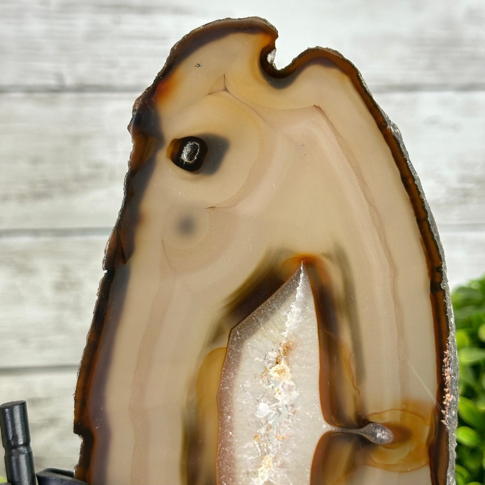 Natural Brazilian Agate "Butterfly Wings", 9.2" Tall #5050NA-151 - Brazil GemsBrazil GemsNatural Brazilian Agate "Butterfly Wings", 9.2" Tall #5050NA-151Agate Butterfly Wings5050NA-151