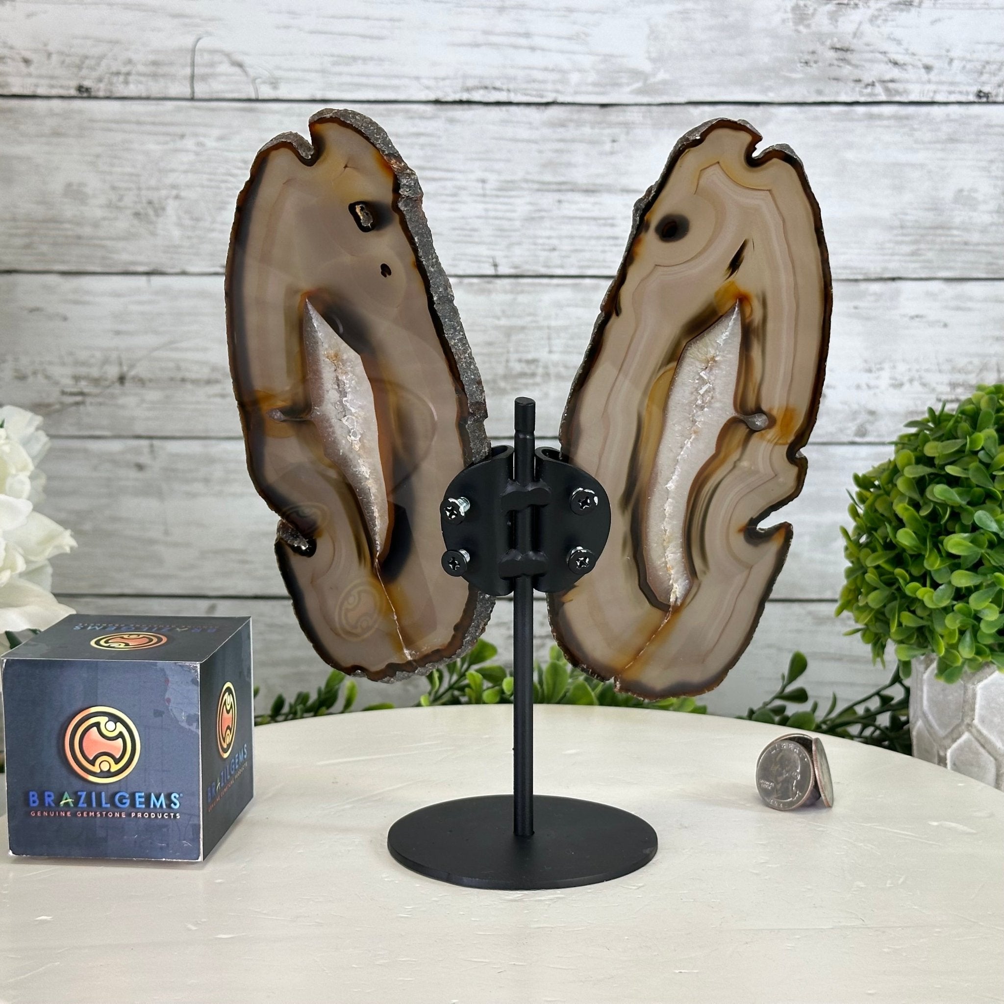 Natural Brazilian Agate "Butterfly Wings", 9.2" Tall #5050NA-151 - Brazil GemsBrazil GemsNatural Brazilian Agate "Butterfly Wings", 9.2" Tall #5050NA-151Agate Butterfly Wings5050NA-151