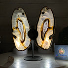 Natural Brazilian Agate "Butterfly Wings", 9.2" Tall #5050NA-151 - Brazil GemsBrazil GemsNatural Brazilian Agate "Butterfly Wings", 9.2" Tall #5050NA-151Agate Butterfly Wings5050NA-151