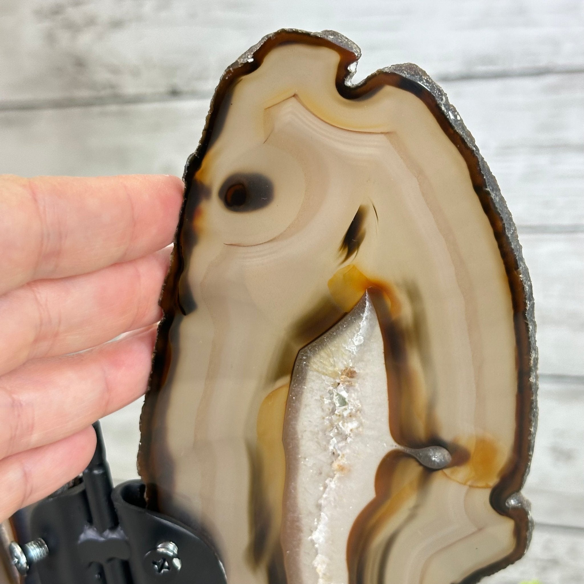 Natural Brazilian Agate "Butterfly Wings", 9.2" Tall #5050NA-151 - Brazil GemsBrazil GemsNatural Brazilian Agate "Butterfly Wings", 9.2" Tall #5050NA-151Agate Butterfly Wings5050NA-151
