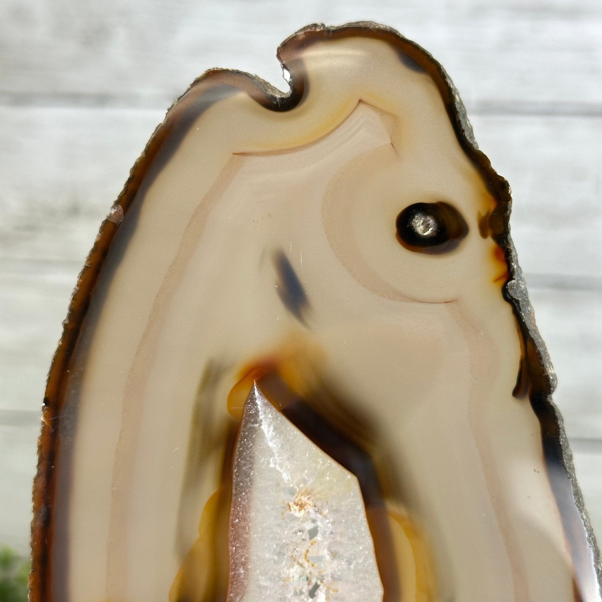 Natural Brazilian Agate "Butterfly Wings", 9.2" Tall #5050NA-151 - Brazil GemsBrazil GemsNatural Brazilian Agate "Butterfly Wings", 9.2" Tall #5050NA-151Agate Butterfly Wings5050NA-151