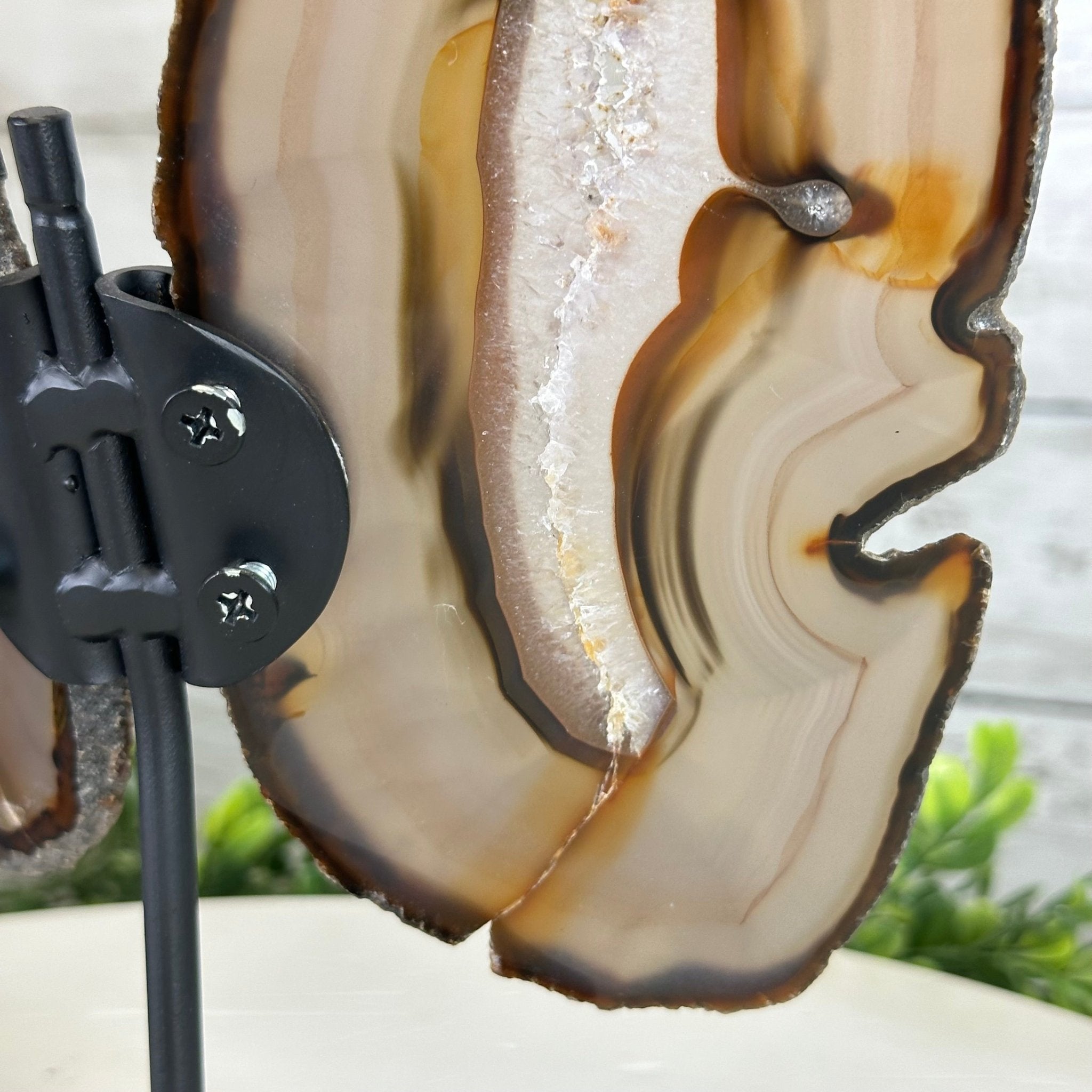 Natural Brazilian Agate "Butterfly Wings", 9.2" Tall #5050NA-151 - Brazil GemsBrazil GemsNatural Brazilian Agate "Butterfly Wings", 9.2" Tall #5050NA-151Agate Butterfly Wings5050NA-151