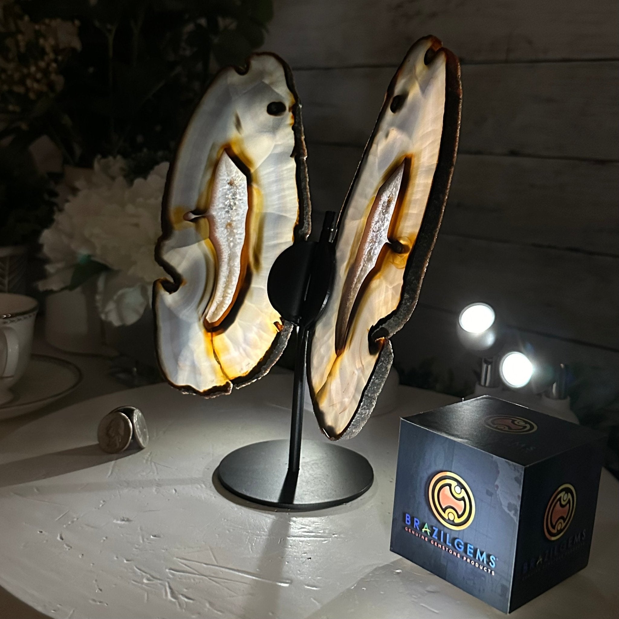 Natural Brazilian Agate "Butterfly Wings", 9.2" Tall #5050NA-151 - Brazil GemsBrazil GemsNatural Brazilian Agate "Butterfly Wings", 9.2" Tall #5050NA-151Agate Butterfly Wings5050NA-151