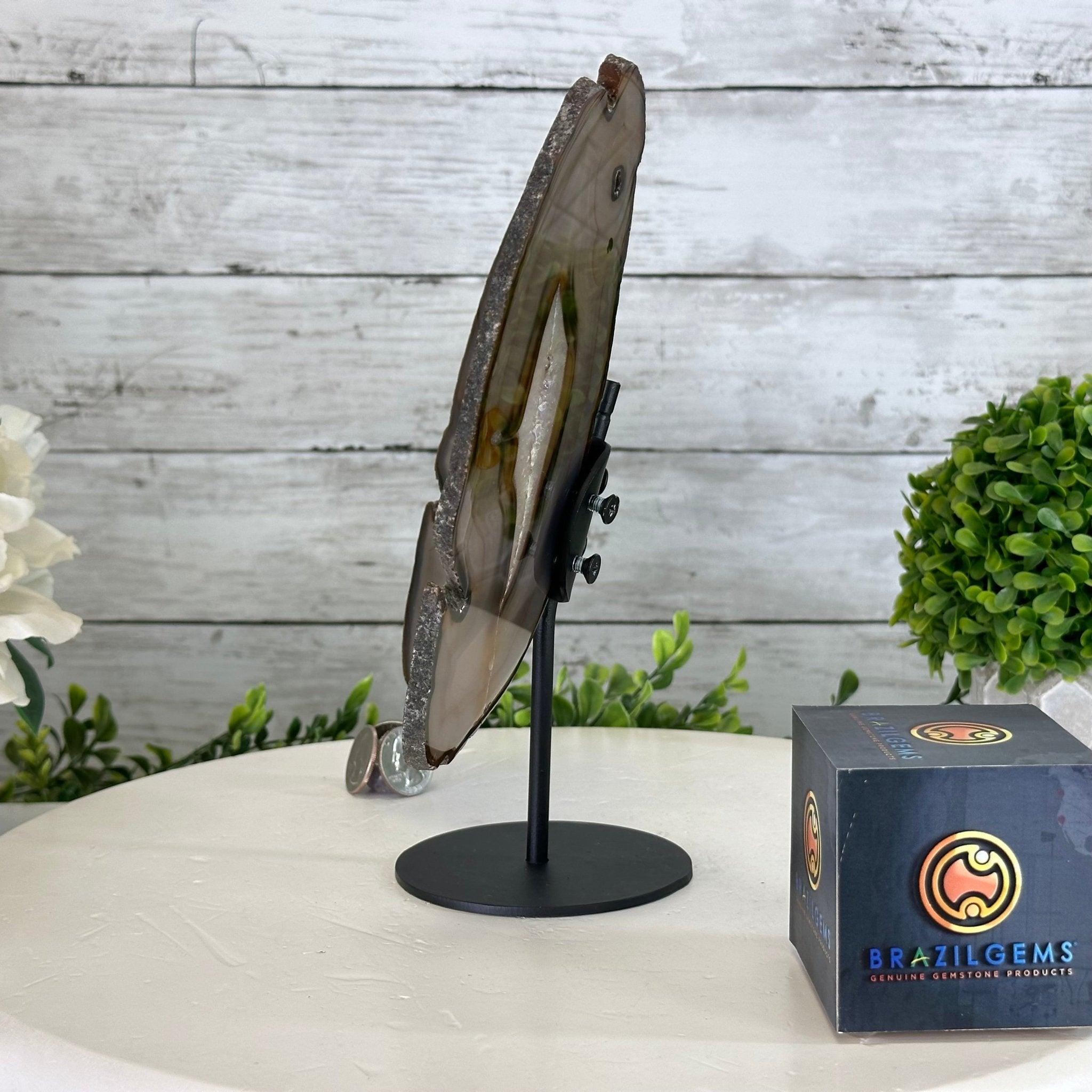 Natural Brazilian Agate "Butterfly Wings", 9.2" Tall #5050NA-151 - Brazil GemsBrazil GemsNatural Brazilian Agate "Butterfly Wings", 9.2" Tall #5050NA-151Agate Butterfly Wings5050NA-151