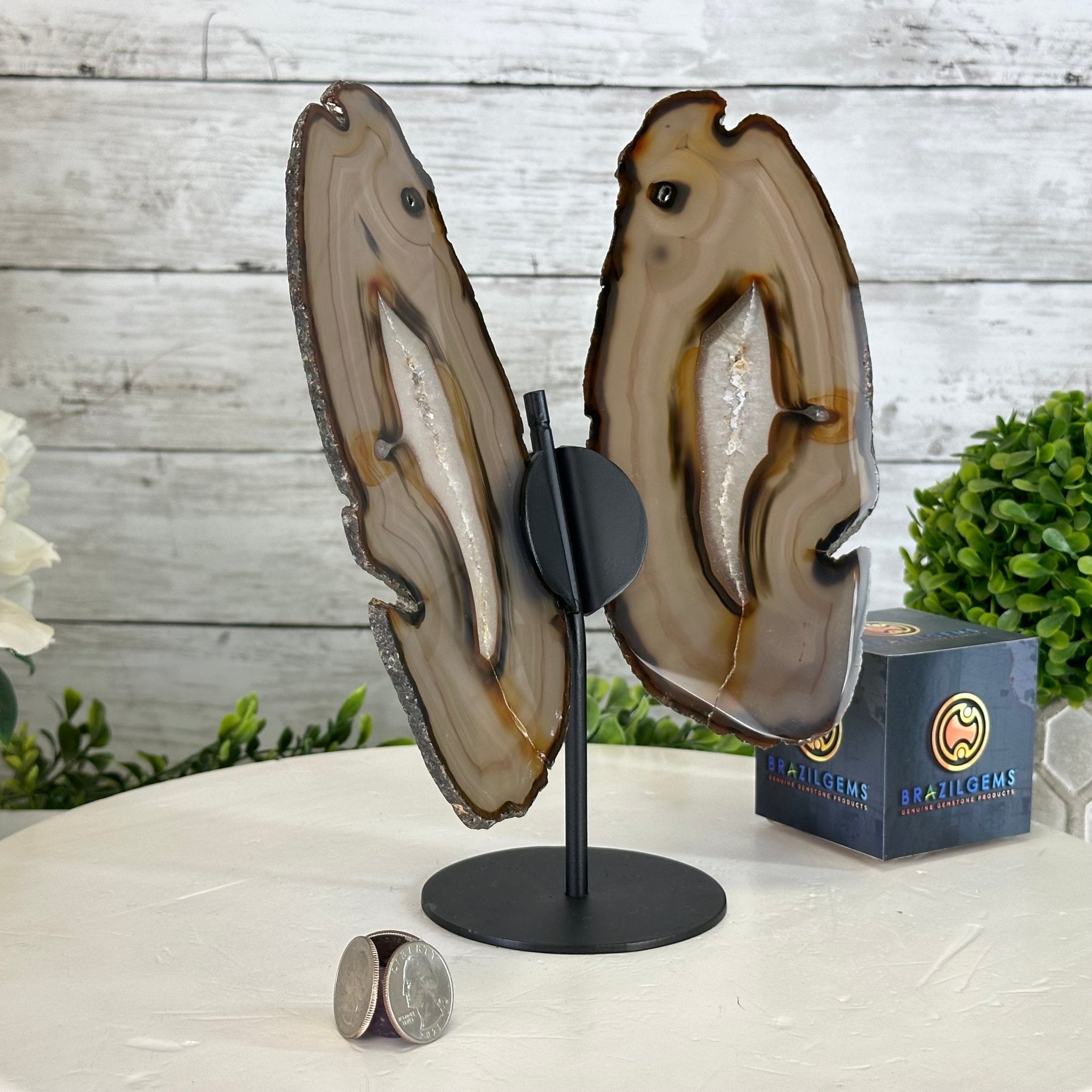Natural Brazilian Agate "Butterfly Wings", 9.2" Tall #5050NA-151 - Brazil GemsBrazil GemsNatural Brazilian Agate "Butterfly Wings", 9.2" Tall #5050NA-151Agate Butterfly Wings5050NA-151