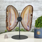 Natural Brazilian Agate "Butterfly Wings", 9.6" Tall #5050NA-105 - Brazil GemsBrazil GemsNatural Brazilian Agate "Butterfly Wings", 9.6" Tall #5050NA-105Agate Butterfly Wings5050NA-105