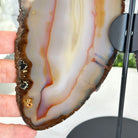 Natural Brazilian Agate "Butterfly Wings", 9.6" Tall #5050NA-105 - Brazil GemsBrazil GemsNatural Brazilian Agate "Butterfly Wings", 9.6" Tall #5050NA-105Agate Butterfly Wings5050NA-105