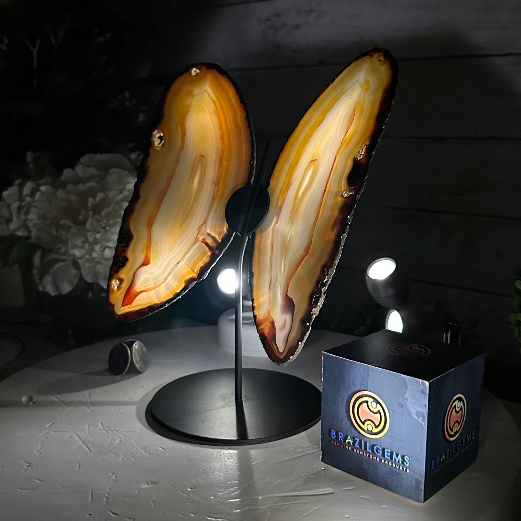 Natural Brazilian Agate "Butterfly Wings", 9.6" Tall #5050NA-105 - Brazil GemsBrazil GemsNatural Brazilian Agate "Butterfly Wings", 9.6" Tall #5050NA-105Agate Butterfly Wings5050NA-105