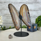 Natural Brazilian Agate "Butterfly Wings", 9.6" Tall #5050NA-105 - Brazil GemsBrazil GemsNatural Brazilian Agate "Butterfly Wings", 9.6" Tall #5050NA-105Agate Butterfly Wings5050NA-105