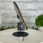 Natural Brazilian Agate "Butterfly Wings", 9.6" Tall #5050NA-105 - Brazil GemsBrazil GemsNatural Brazilian Agate "Butterfly Wings", 9.6" Tall #5050NA-105Agate Butterfly Wings5050NA-105